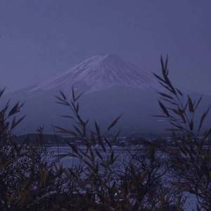 狠狠挺进小舞小泬的视频
