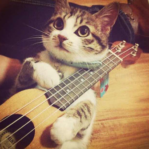 狠狠挺进小舞小泬的视频
